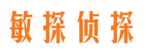 五大连池调查事务所